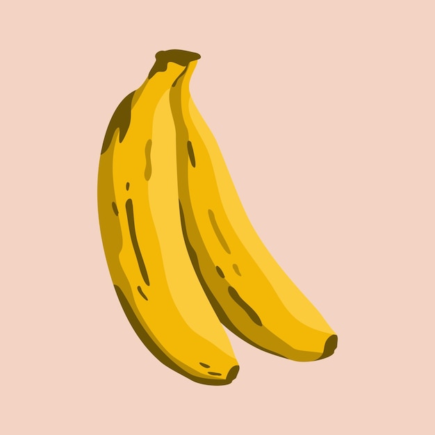 Vector illustration of fresh yellow banana fruits