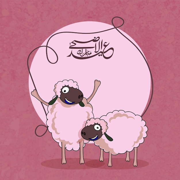 Vector illustration of funny sheeps with arabic islamic calligraphy text eidaladha mubarak in a frame for muslim community festival of sacrifice celebration