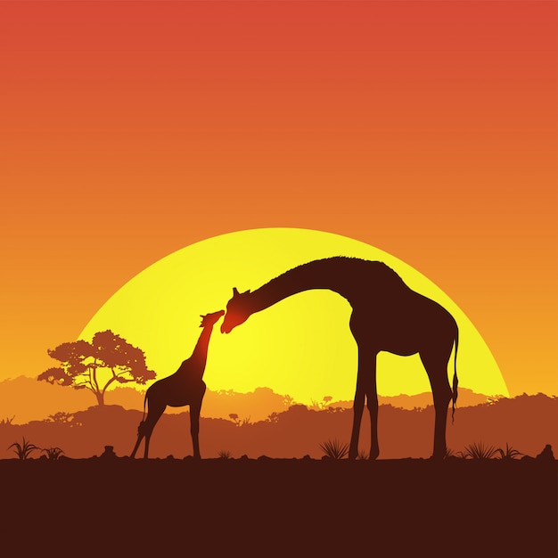 Illustration of giraffe mother and child in safari at sunset silhouette