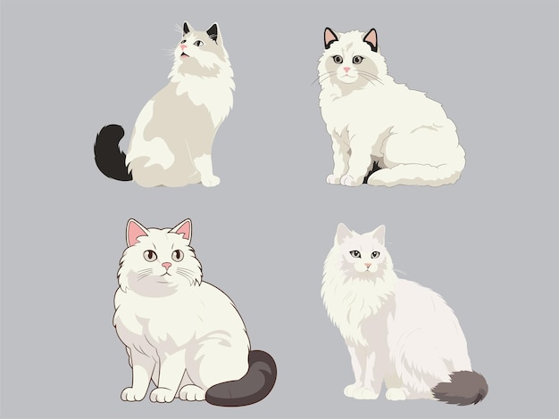 Illustrazione del grazioso american curl cat