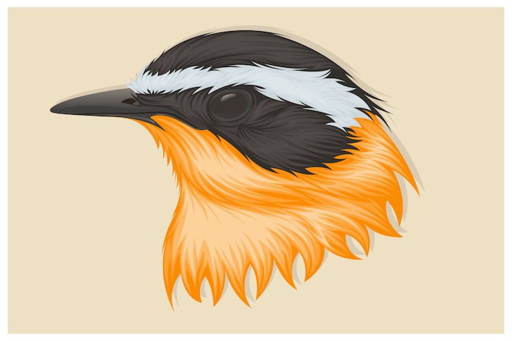 Vector illustration of a great kiskadee bird hand drawing
