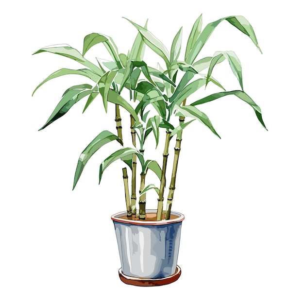 Illustration of a green bamboo plant in a pot on a white background