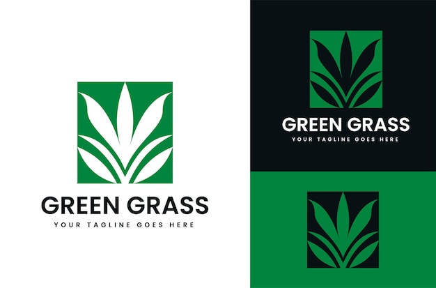 Illustration of Green Grass growing in square shape design with background