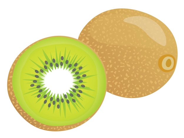 Illustration of a green kiwi fruit