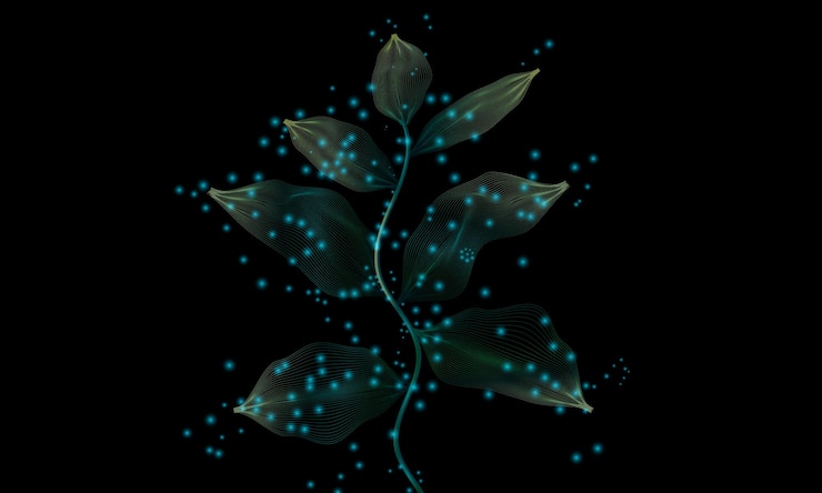 Vector illustration of a green plant on a black background with blue lights
