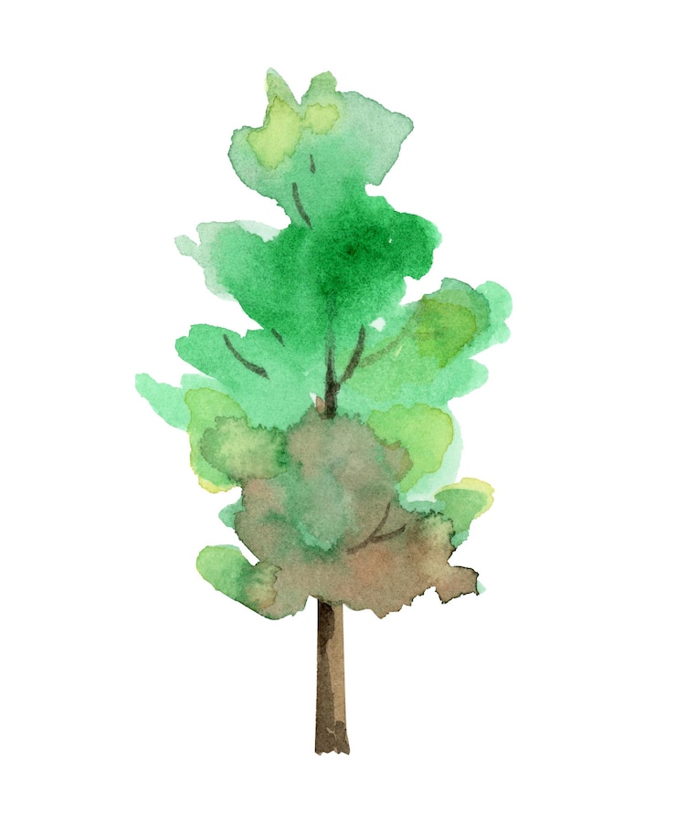 Vector illustration of a green watercolor tree