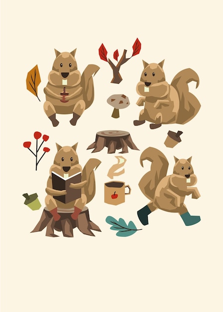 Vector illustration of group of squirrel poses