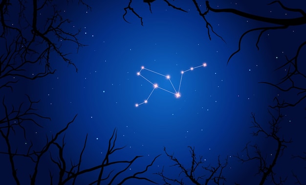 Illustration of Grus constellation. Tree branches, dark blue starry sky, cosmos