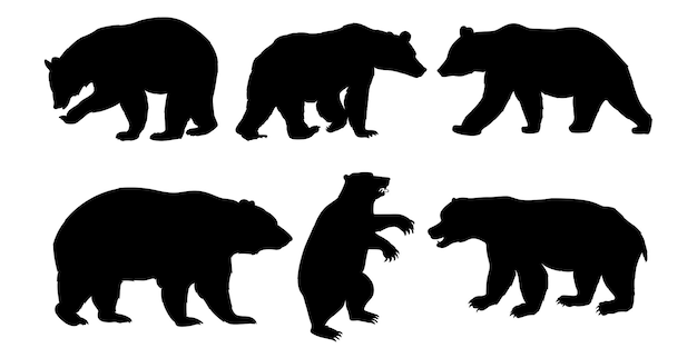 Illustration of a hand drawn bear silhouette set