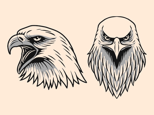 Illustration of hand drawn eagle head