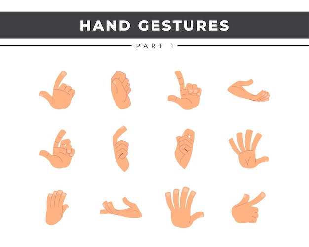 illustration of hand gestures in different positions set isolated