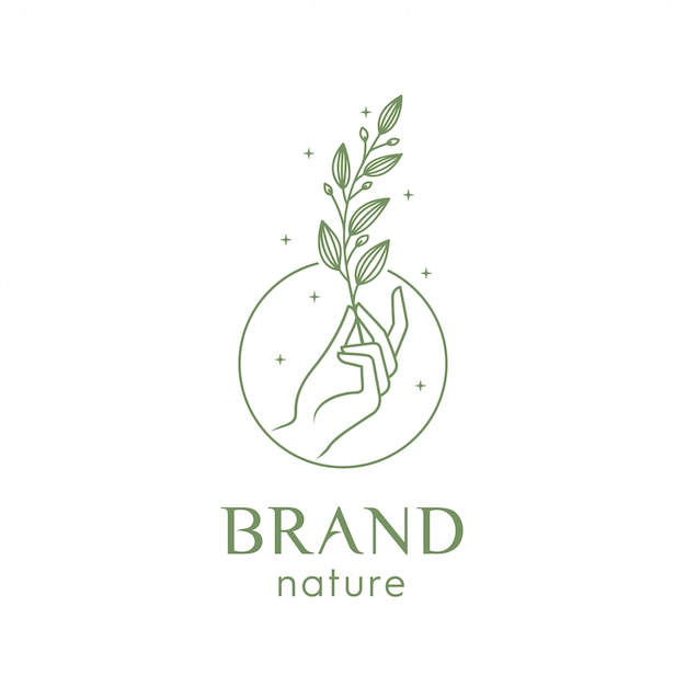 Illustration of a hand holding a leaf for logo