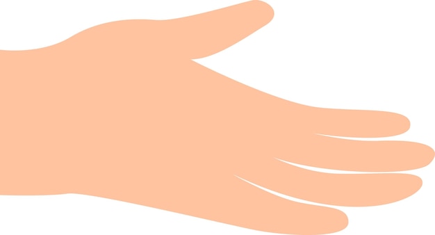 Vector illustration of hand