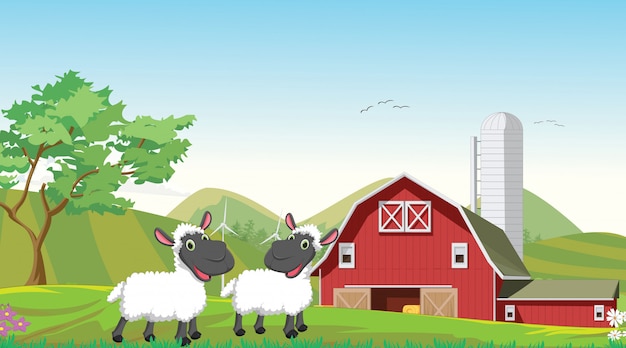 Vector illustration of happy two sheep cartoon in the farm