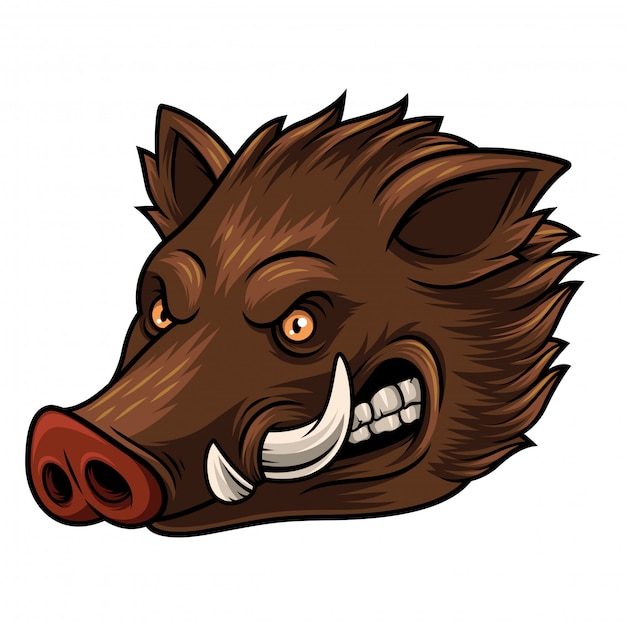 Illustration of head wild boar mascot