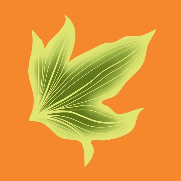 Vector illustration hedera helix leaves eps file vector