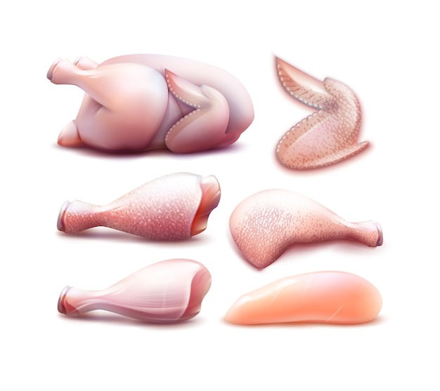 illustration hen meat icon set with different parts of chicken