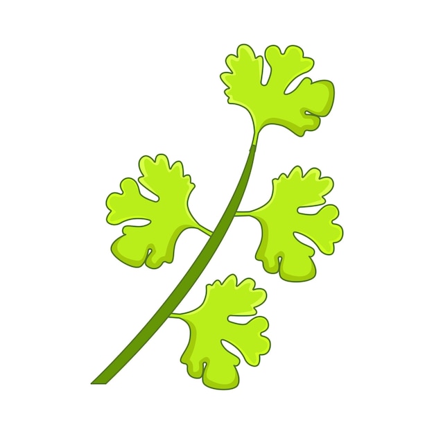 Illustration of herb