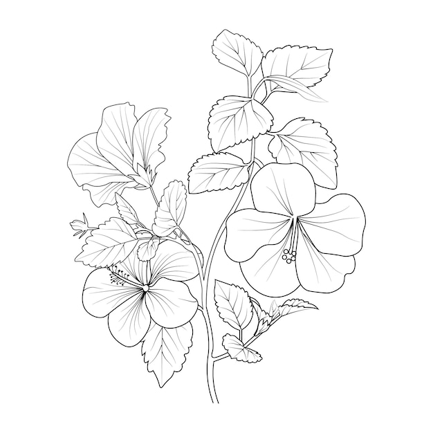 Vector illustration of a hibiscus flower, vector sketch pencil art, bouquet floral coloring page and book