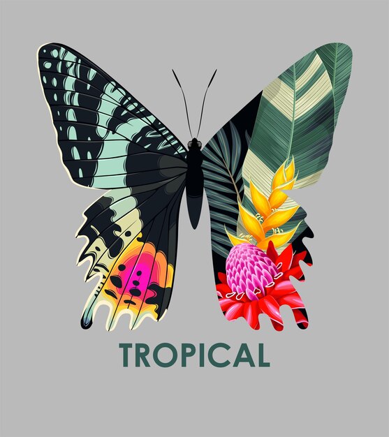 Illustration of high detailed tropical butterfly