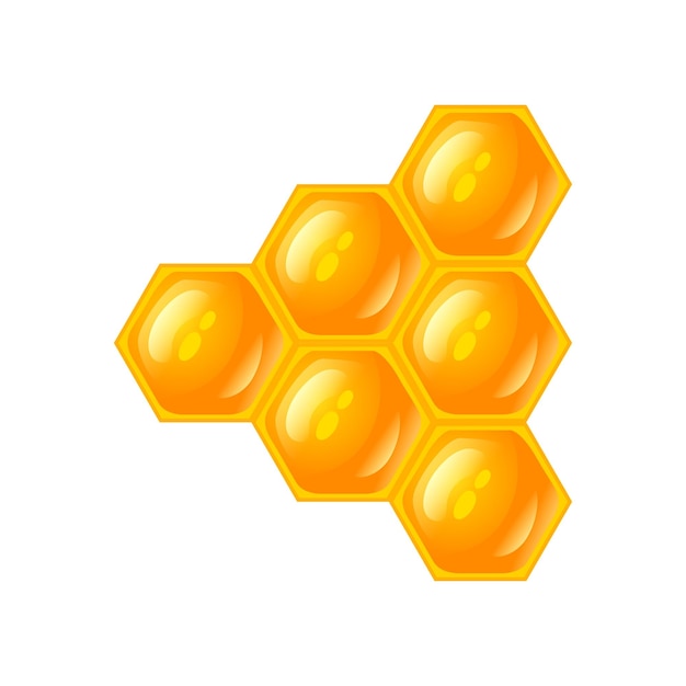 Illustration of honey Vector design