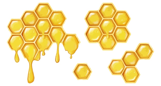 Vector illustration of honeycombs on a white background elements of honey for decoration and design