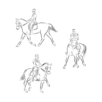Illustrazione di equitazione. illustrazione disegnata a mano di schizzo di vettore dei cavalli da dressage