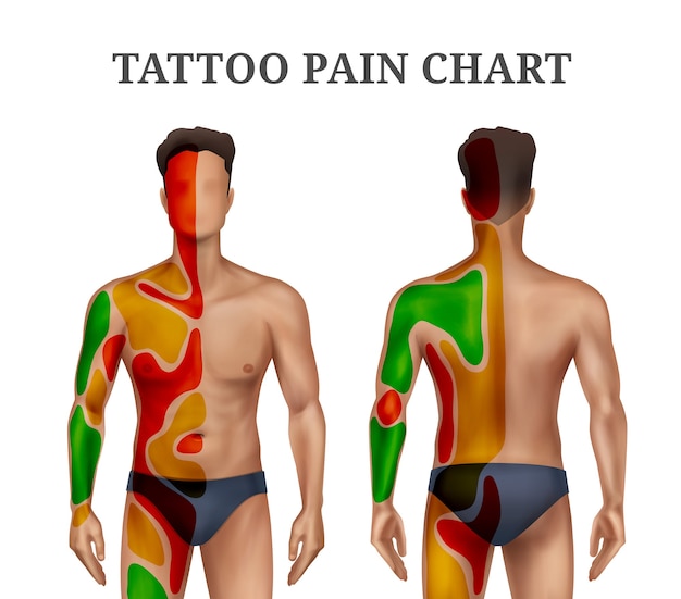 Tattoo Pain Chart Scale What Is The Most Least Painful Place Male   Female  Saved Tattoo