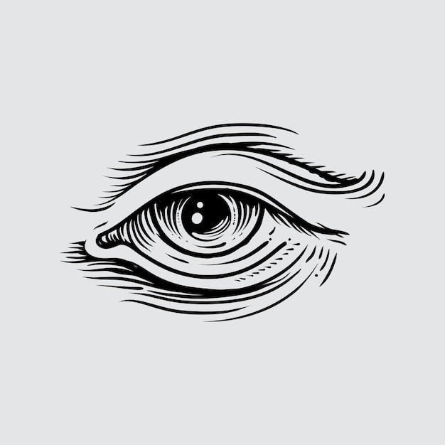 illustration of human eye in engraved style