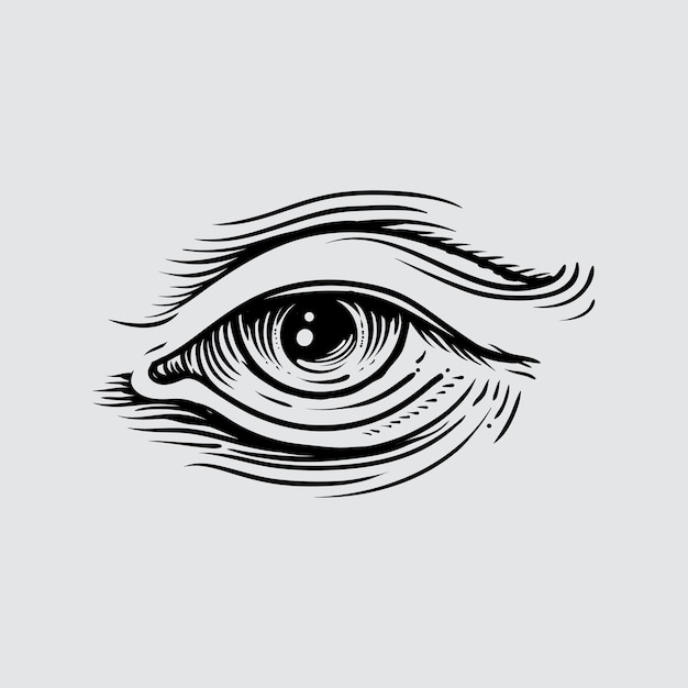 Vector illustration of human eye in engraved style