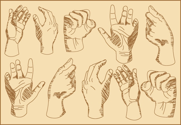 Vector illustration human hand