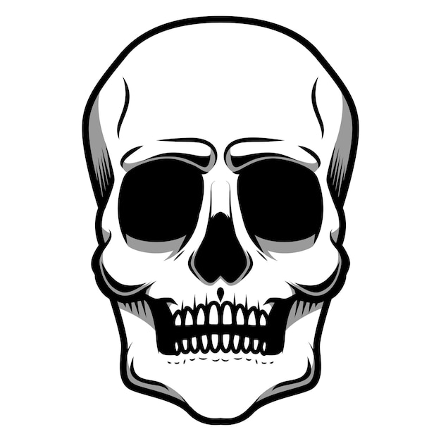 Vector illustration of human skull isolated on white background. design element for logo, label, badge, sign. vector illustration