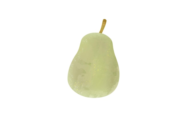 Illustration of ingredients transparent watercolor style of pear