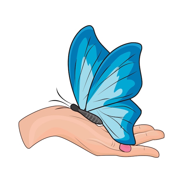 illustration of insect