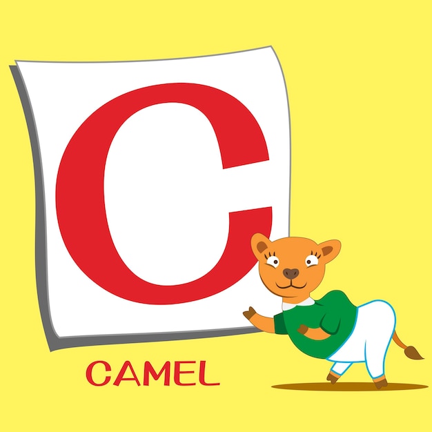 Vector illustration of isolated animal alphabet c with camel