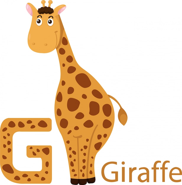 Иллюстрация изолированного животного алфавита G для жирафа