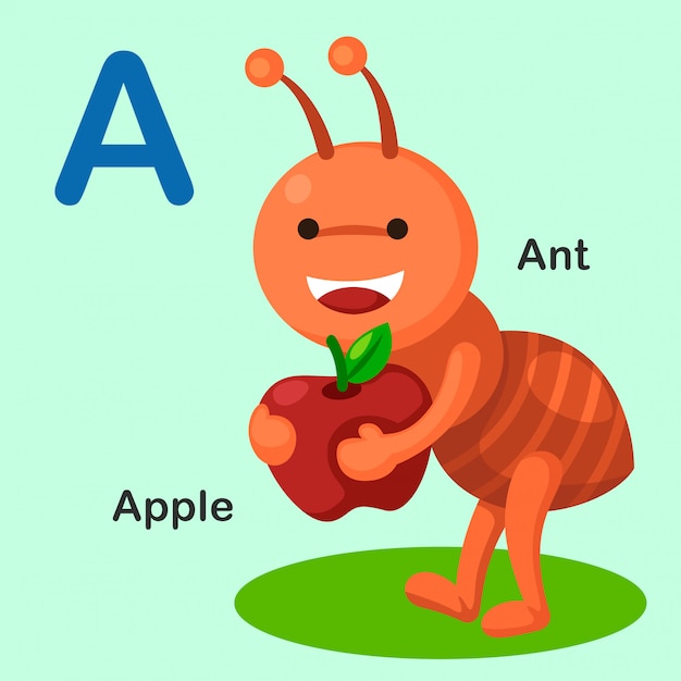 Вектор Иллюстрация изолированных животных алфавит буква a-ant, яблоко