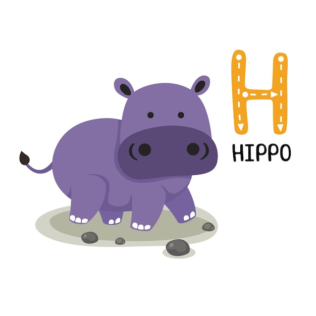 Illustration isolated animal alphabet letter hhippo