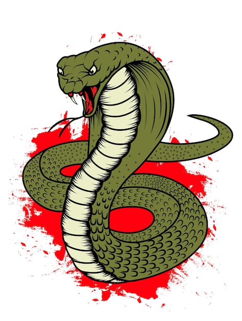 Illustrazione di un serpente cobra reale con sangue in procinto di colpire