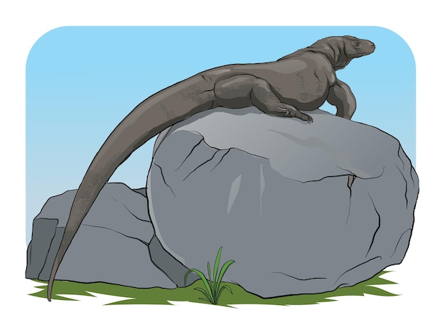 Illustration of komodo dragon on a large rock