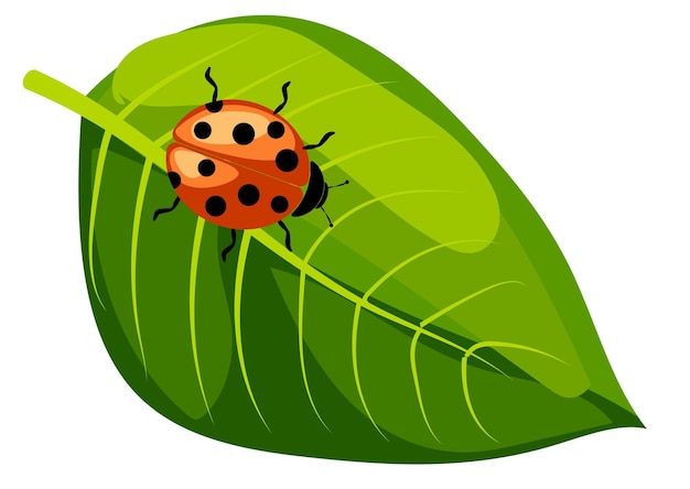 Illustration of a ladybug on a vibrant green leaf in a sunny garden setting
