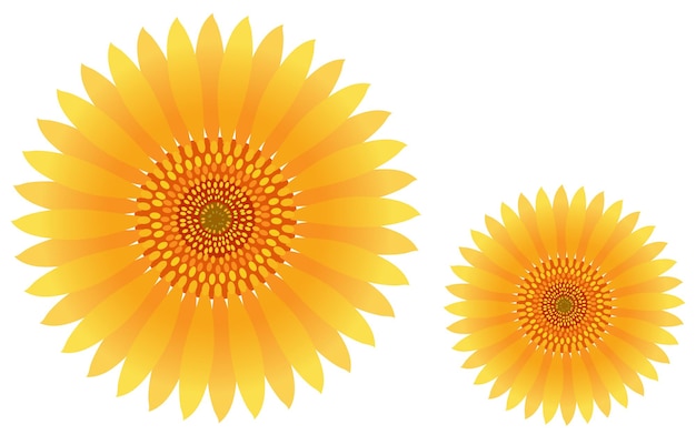 Vector illustration of a large sunflower