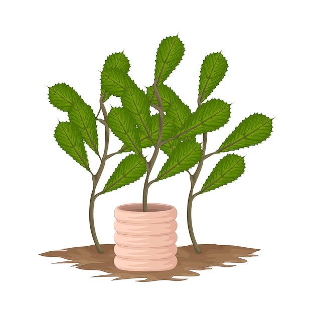 Vector illustration of leaf