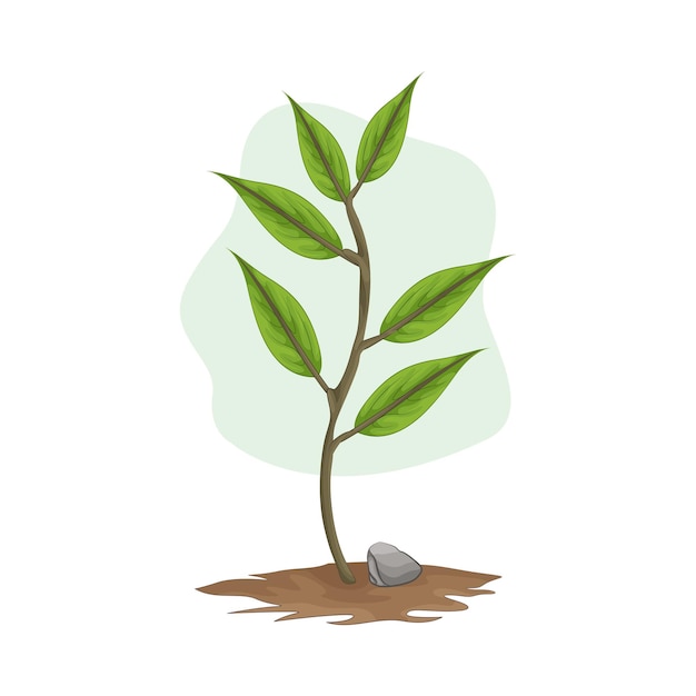 Vector illustration of leaf