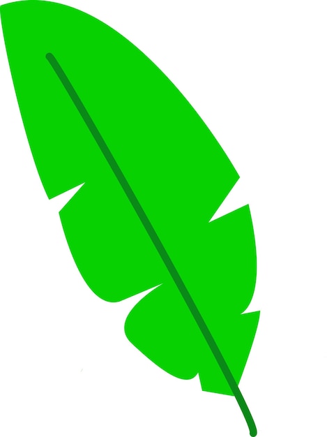 Vector illustration of leaf