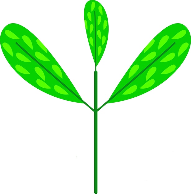 Vector illustration of leaf