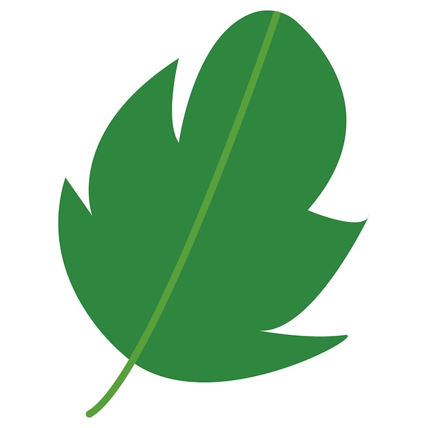 Vector illustration of leaf