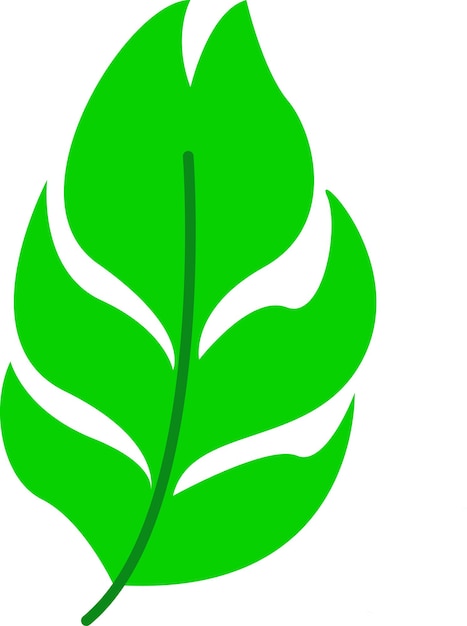 Vector illustration of leaf