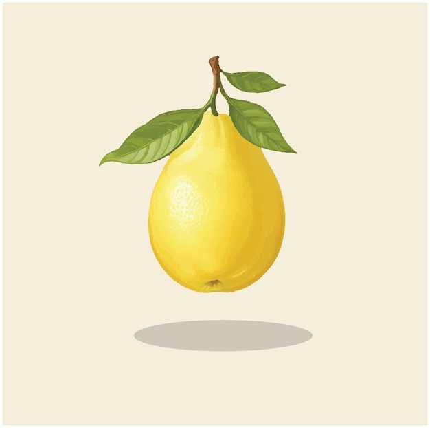 Illustration of a lemon fruit