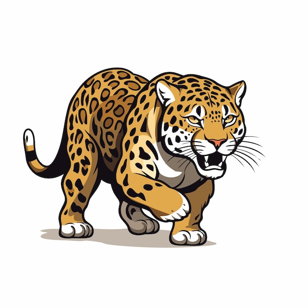 Illustration of a leopard on white background Vector illustration